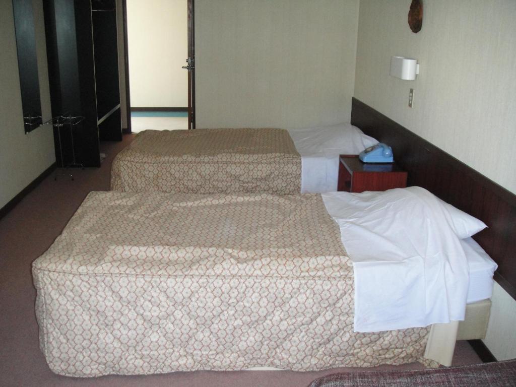 Hotel Weisser Hof Happei Hakuba Bilik gambar
